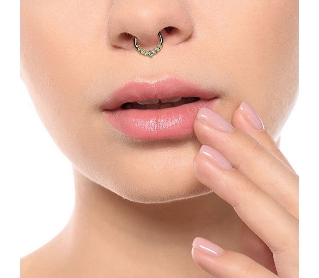 Taffstyle Nasenpiercing Septum Piercing Ring Segmentring Clicker Scharnier mit Kristallen, Nasenpiercing Nasenring Ohrpiercing Ohr Nase Tragus Helix Brust Intim – Bild 2 von 5