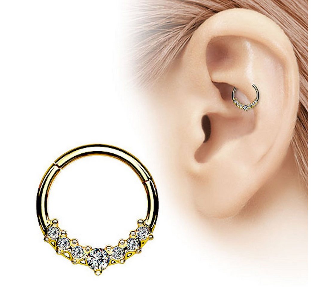 Taffstyle Nasenpiercing Septum Piercing Ring Segmentring Clicker Scharnier mit Kristallen, Nasenpiercing Nasenring Ohrpiercing Ohr Nase Tragus Helix Brust Intim – Bild 3 von 5