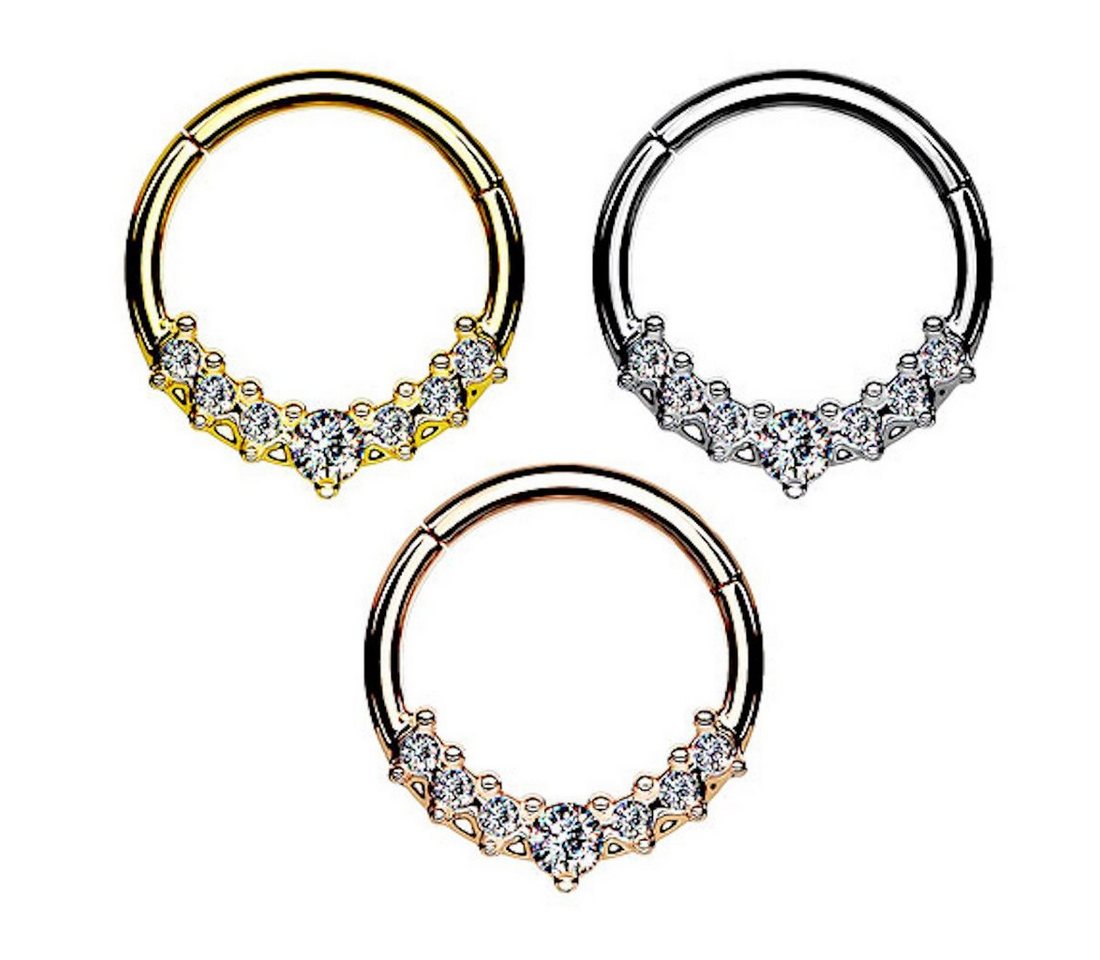 Taffstyle Nasenpiercing Septum Piercing Ring Segmentring Clicker Scharnier mit Kristallen, Nasenpiercing Nasenring Ohrpiercing Ohr Nase Tragus Helix Brust Intim – Bild 4 von 5