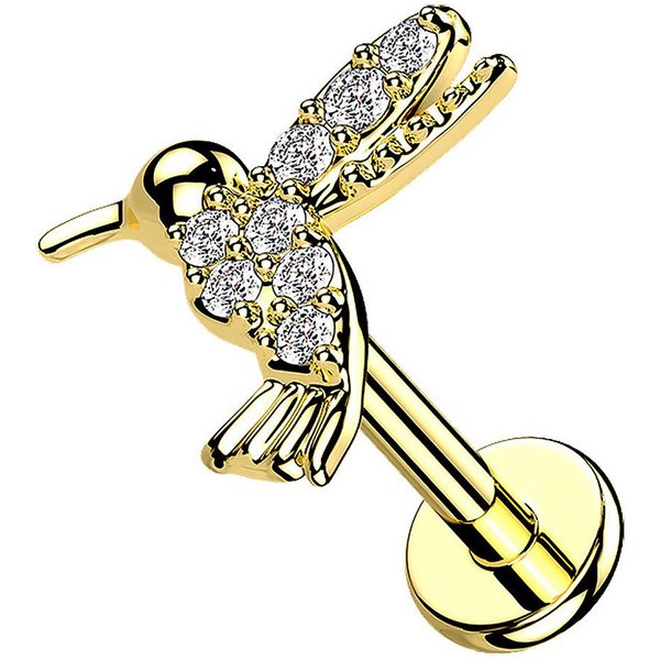 Taffstyle Piercing-Set Labret Tragus Monroe Piercing flach Zirkonia Koilbri Gold 8mm (Helix Rook Lobe Daith Conch Orbital Snug Ohrring Piercing), Helix Innengew