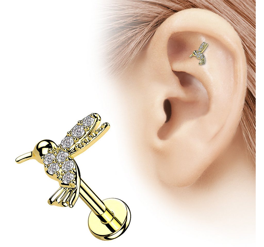 Taffstyle Piercing-Set Labret Tragus Monroe Piercing flach Zirkonia Koilbri Gold 8mm (Helix Rook Lobe Daith Conch Orbital Snug Ohrring Piercing), Helix Innengew – Bild 2 von 4