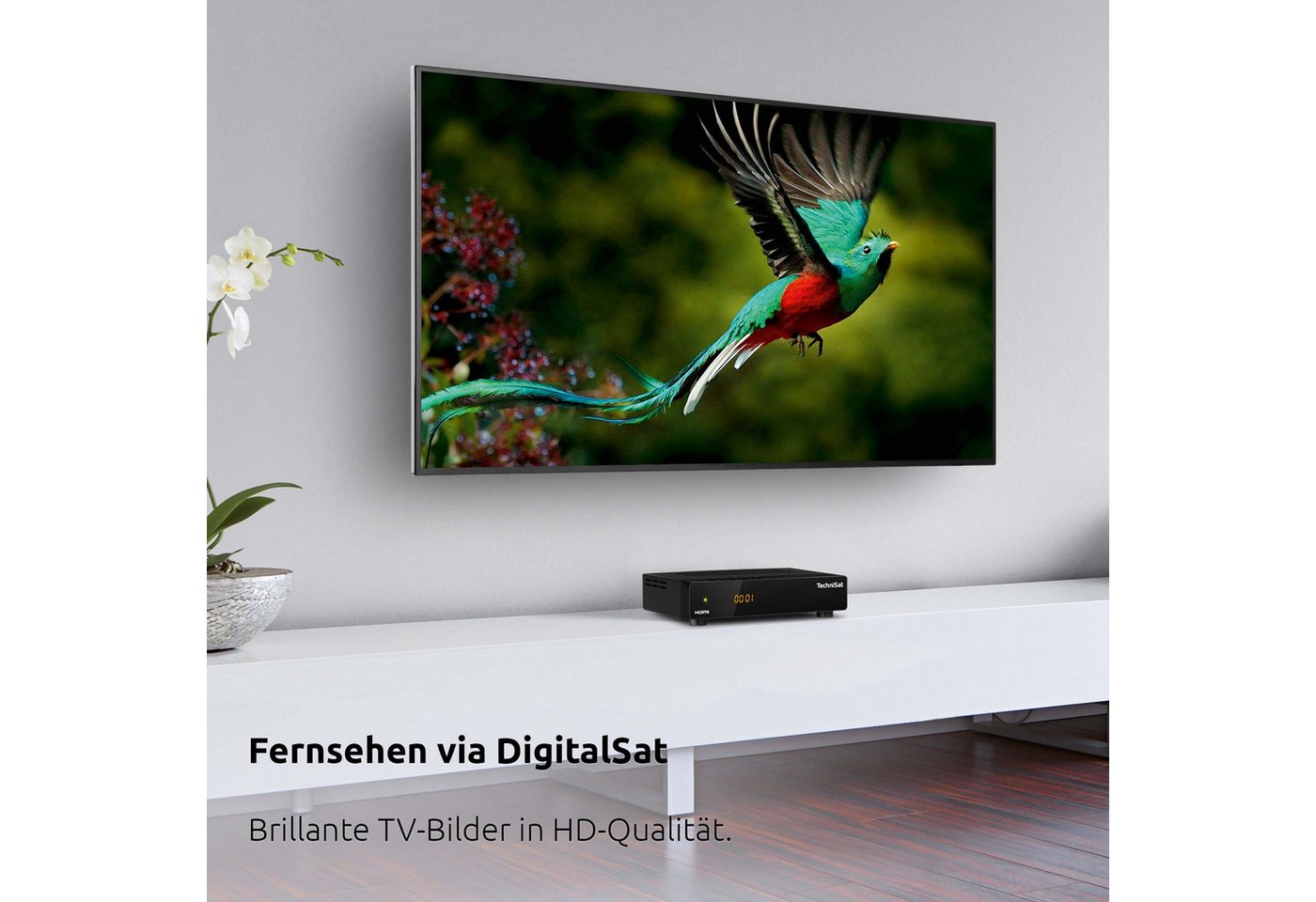 TechniSat HD-S 210 SAT-Receiver (7-Tage-EPG, Vorprogrammiert, Einkabellösung, AAC, USB-Mediaplayer) – Bild 2 von 5