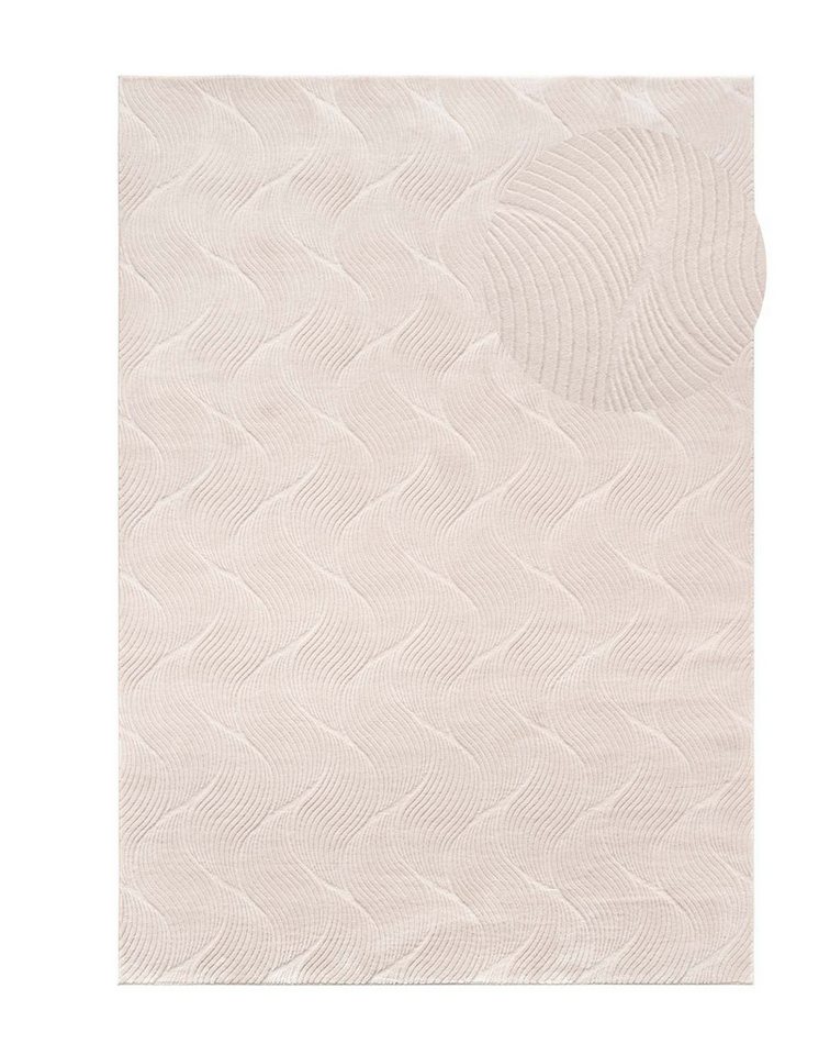 TaraCarpet Teppich TaraCarpet Homestyle 392 Shell, rechteckig, Höhe: 10 mm, Felloptik hoch-tief weich waschbar Düne beige 50x80 – Bild 3 von 5
