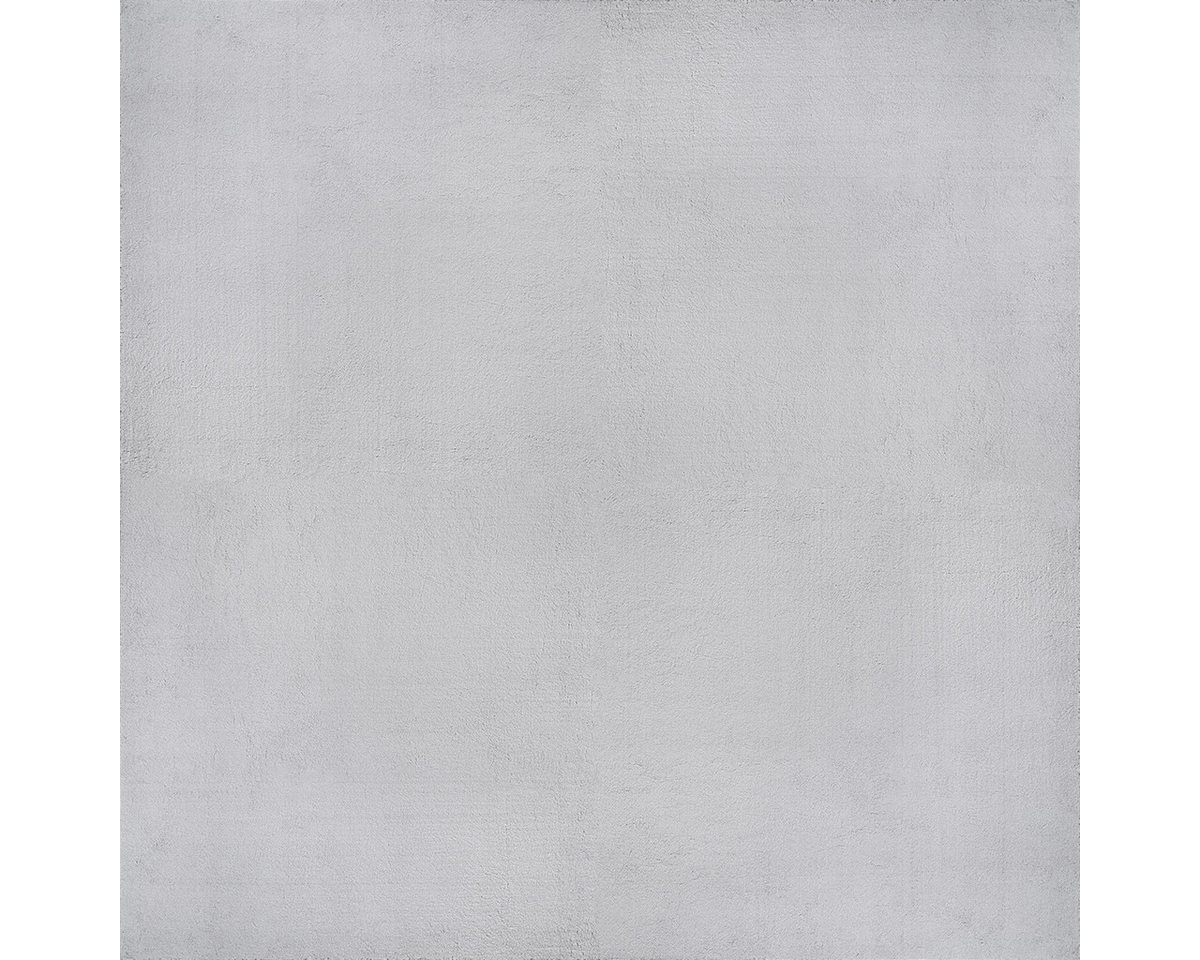 the carpet Teppich kuschelig & Super Soft, Anti-Rutsch Unterseite, rechteckig, Höhe: 16 mm, Waschbar bis 30 Grad, Felloptik, Wohnzimmer Teppich, Kundenliebling – Bild 3 von 4