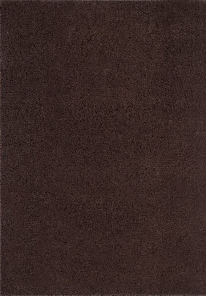 the carpet Teppich kuschelig & Super Soft, Anti-Rutsch Unterseite, rechteckig, Höhe: 16 mm, Waschbar bis 30 Grad, Felloptik, Wohnzimmer Teppich, Kundenliebling – Bild 2 von 5
