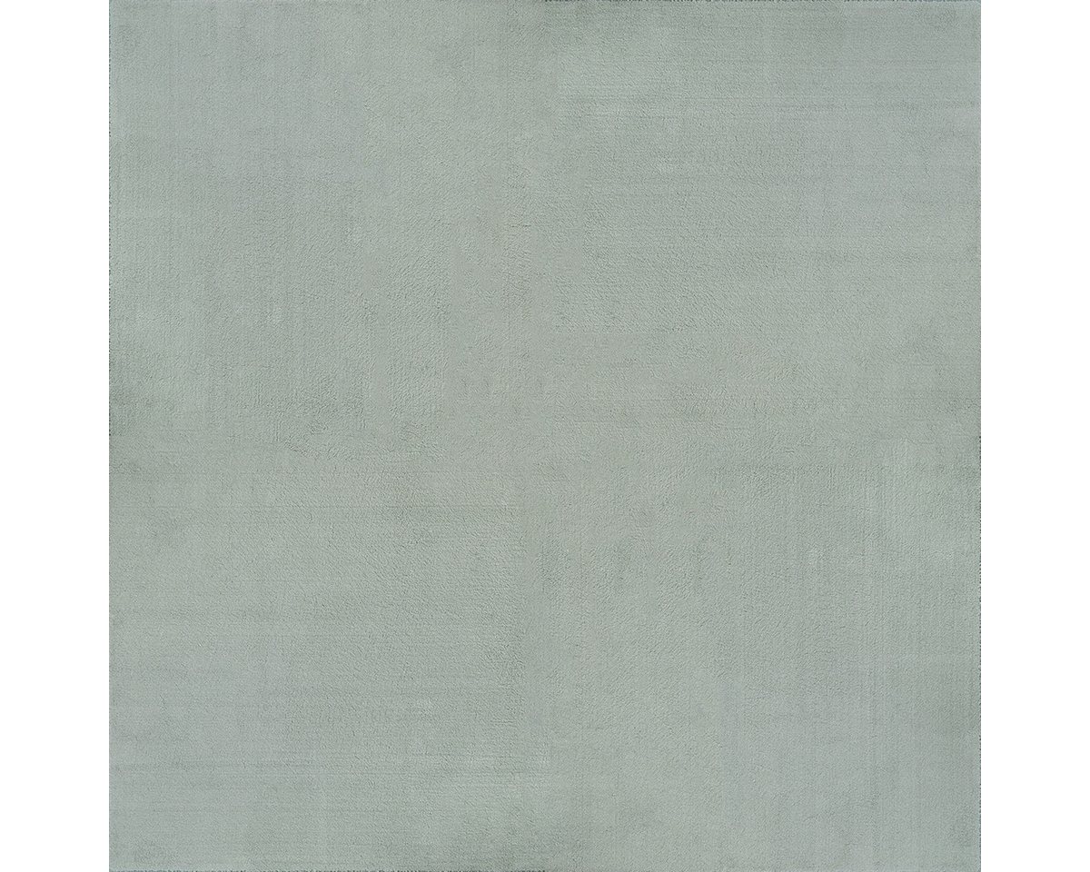 the carpet Teppich kuschelig & Super Soft, Anti-Rutsch Unterseite, rechteckig, Höhe: 16 mm, Waschbar bis 30 Grad, Felloptik, Wohnzimmer Teppich, Kundenliebling – Bild 2 von 5