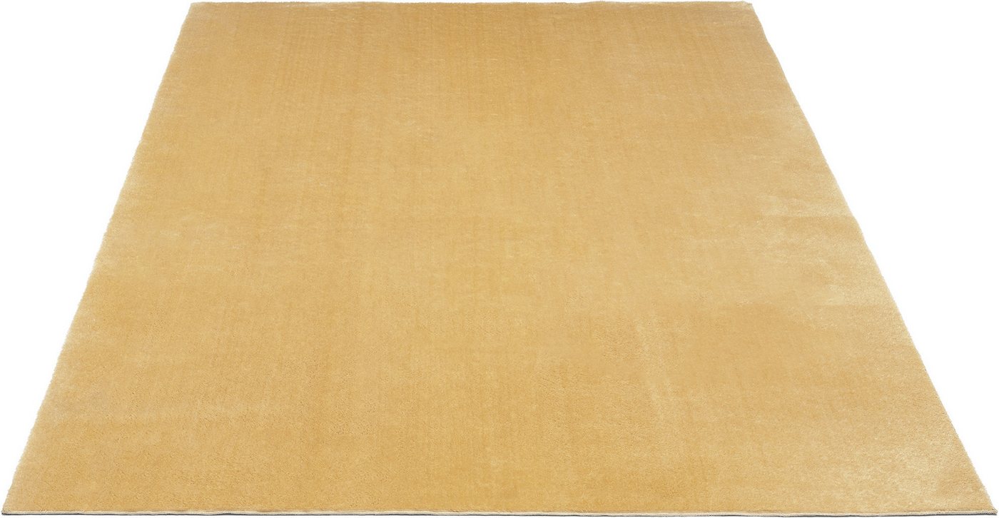 the carpet Teppich kuschelig & Super Soft, Anti-Rutsch Unterseite, rechteckig, Höhe: 16 mm, Waschbar bis 30 Grad, Felloptik, Wohnzimmer Teppich, Kundenliebling – Bild 3 von 5