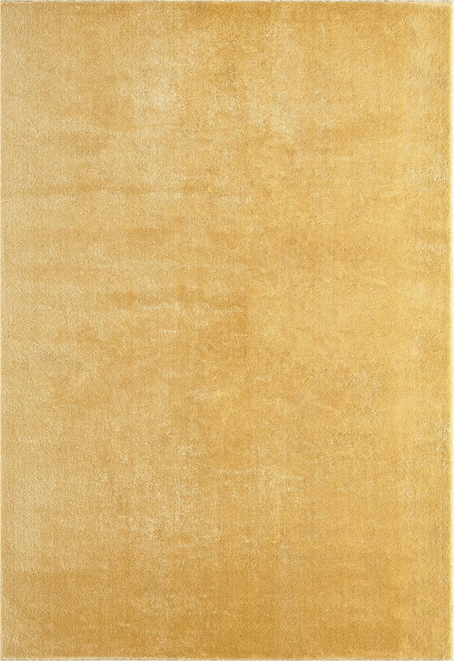the carpet Teppich kuschelig & Super Soft, Anti-Rutsch Unterseite, rechteckig, Höhe: 16 mm, Waschbar bis 30 Grad, Felloptik, Wohnzimmer Teppich, Kundenliebling – Bild 2 von 5