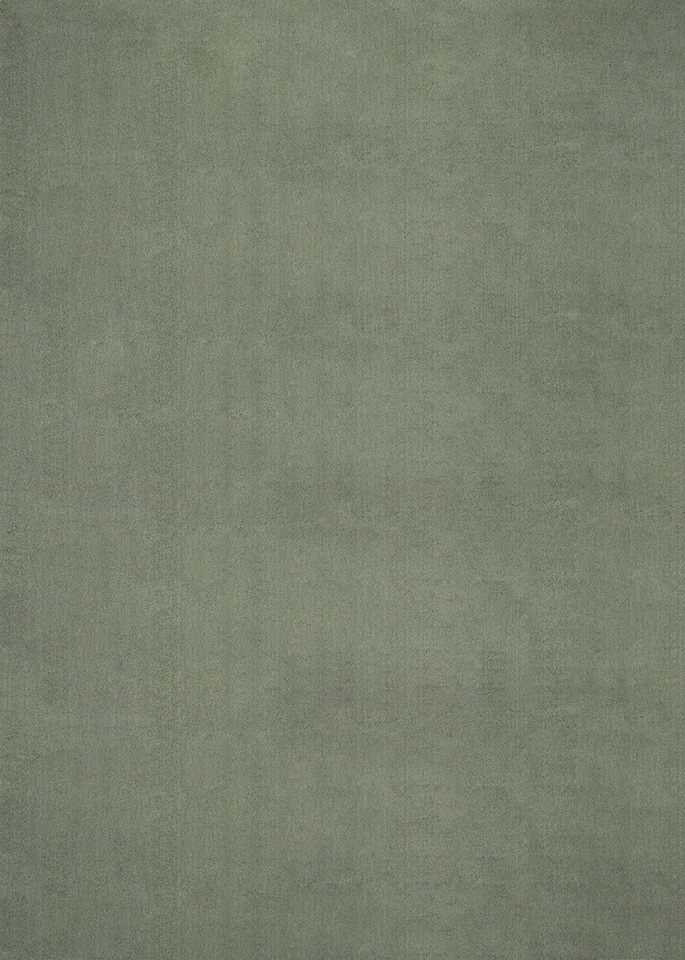 the carpet Teppich kuschelig & Super Soft, Anti-Rutsch Unterseite, rechteckig, Höhe: 16 mm, Waschbar bis 30 Grad, Felloptik, Wohnzimmer Teppich, Kundenliebling – Bild 2 von 5