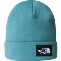 algae blue