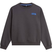 THE NORTH FACE Herren Pullover lg.Arm He/Uni M RETRO TRAIL RELAXED CREW - GRAPHIC, Größe L in Grau