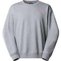THE NORTH FACE Herren Pullover U EXPEDITION CELEBRATION OVERSIZED CREW, Größe XL in Silber