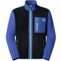 tnf black/indigo plum/meta lime (Herren)