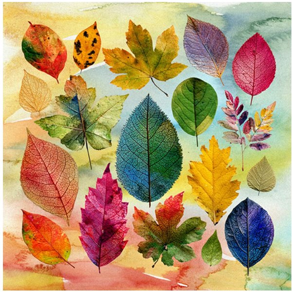 ti-flair Papierserviette, Servietten Papier 33x33cm 3-lag. mit mit Herbstblätter Motiv 20 Stück