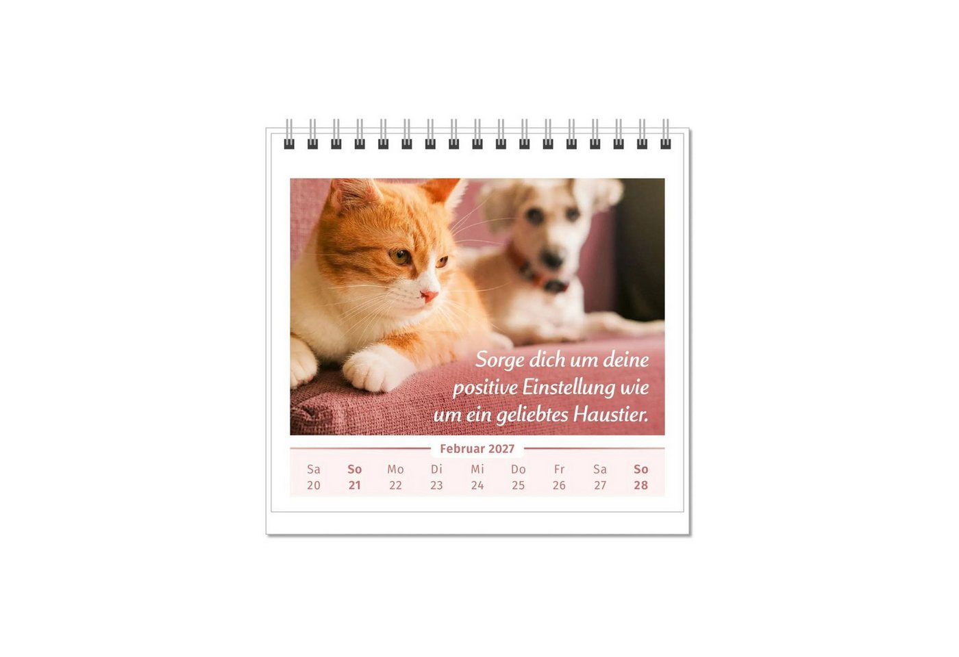 Tischkalender Der Lebensfreude-Tischkalender 2027 – Bild 5 von 5