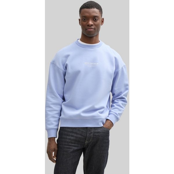 TOM TAILOR Denim Sweatshirt Strick & Sweatshirts Relaxed Sweatshirt mit Logo-Print