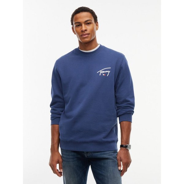 Tommy Jeans Sweatshirt REGULAR ENTRY SIGNATURE Regular fit mit Rundhalsausschnitt