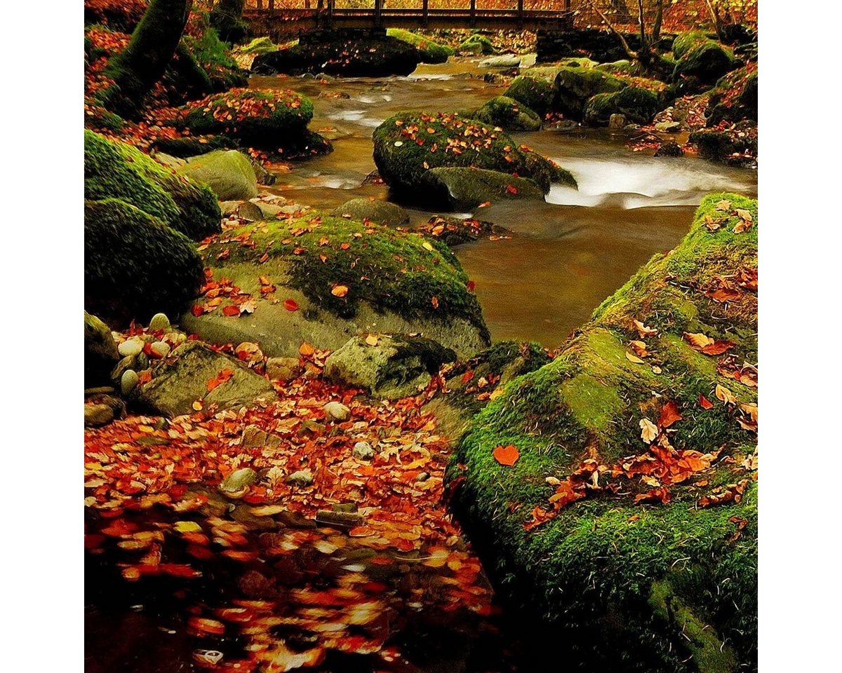 TRAUMSCHLAF Bettwäsche Herbstwald, Renforce, 2 teilig, herrliches Design in strapazierfähiger Qualität – Bild 2 von 3