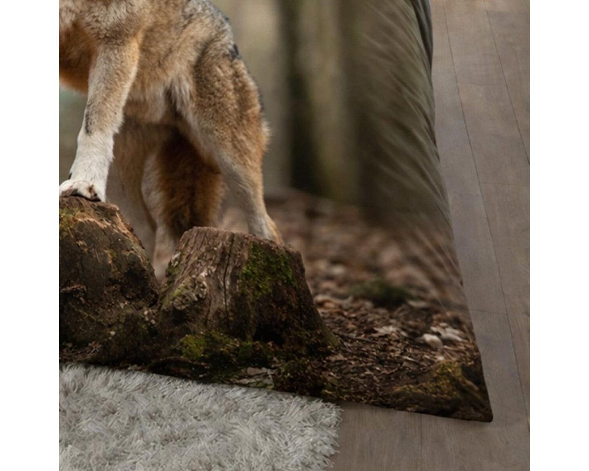 TRAUMSCHLAF Bettwäsche Wolf, Renforce, 2 teilig, tierisches Design in strapazierfähiger Qualität – Bild 3 von 4