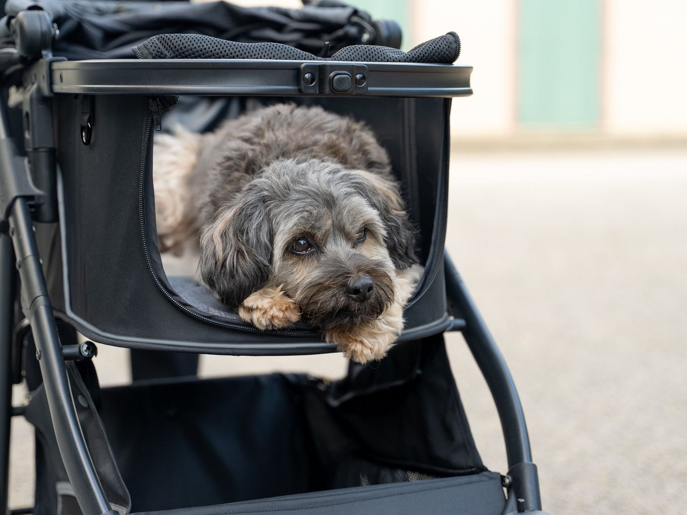 TrendPet Hundebuggy Walk, bis 22 Kg – Bild 4 von 5