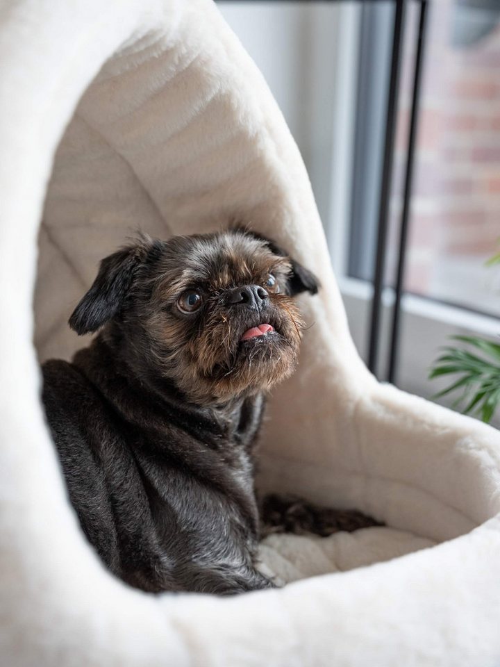 TrendPet Tierbett Höhle LunaHome, 100% Polyester, in 2 Farben erhältlich – Bild 3 von 5