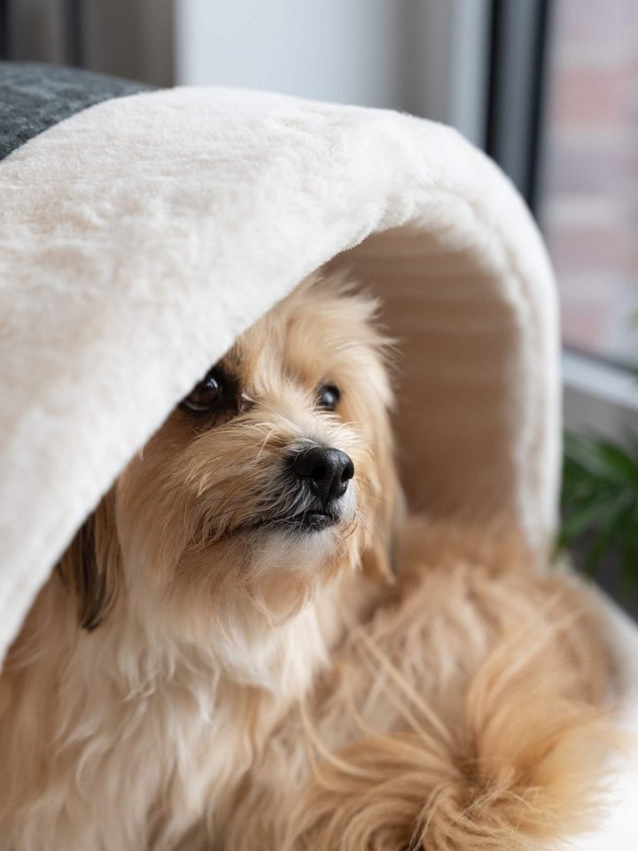 TrendPet Tierbett Höhle LunaHome, 100% Polyester, in 2 Farben erhältlich – Bild 4 von 5