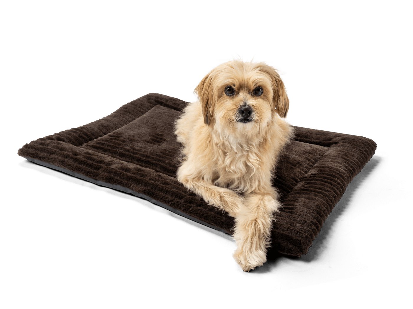 TrendPet Tierdecke Hundedecke "Harmony Flex", 100% Polyester, in 6 verschiedenen Größen erhältlich – Bild 2 von 5