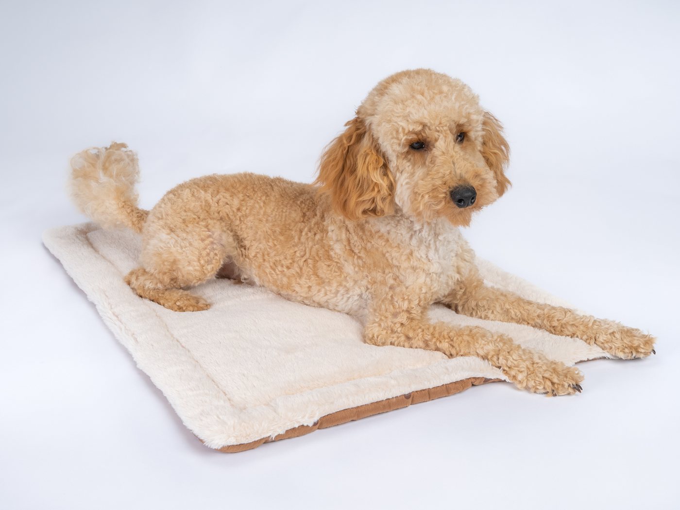TrendPet Tierdecke Hundedecke "Relax", 100% Polyester, in verschiedenen Größen erhältlich – Bild 2 von 5