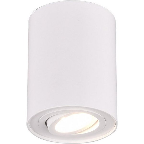 TRIO Leuchten LED Deckenstrahler, Dimmfunktion, LED wechselbar, Warmweiß, kleiner Aufbau-Spot Aufputz Strahler innen, Treppenhaus, Weiß Ø 9,6cm