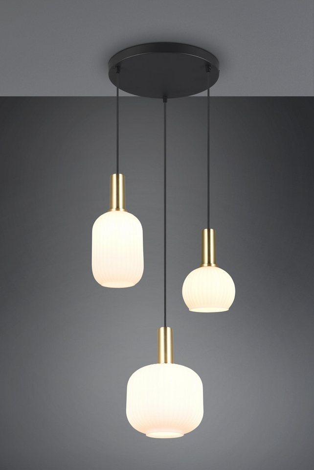 TRIO Leuchten Pendelleuchte DIVA, E27 Hängelampe 3-flammig mit Glasschirm, exkl 3xE27 max 10W, Leuchtmittel wechselbar, warmweiß - kaltweiß, höhenverstellbar bi – Bild 3 von 5