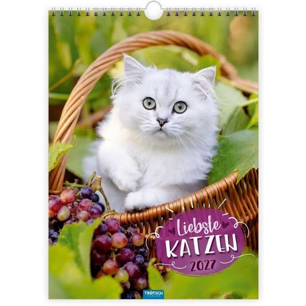 Trötsch Verlag Wandkalender TRÖTSCH - Classickalender Liebste Katzen 2027