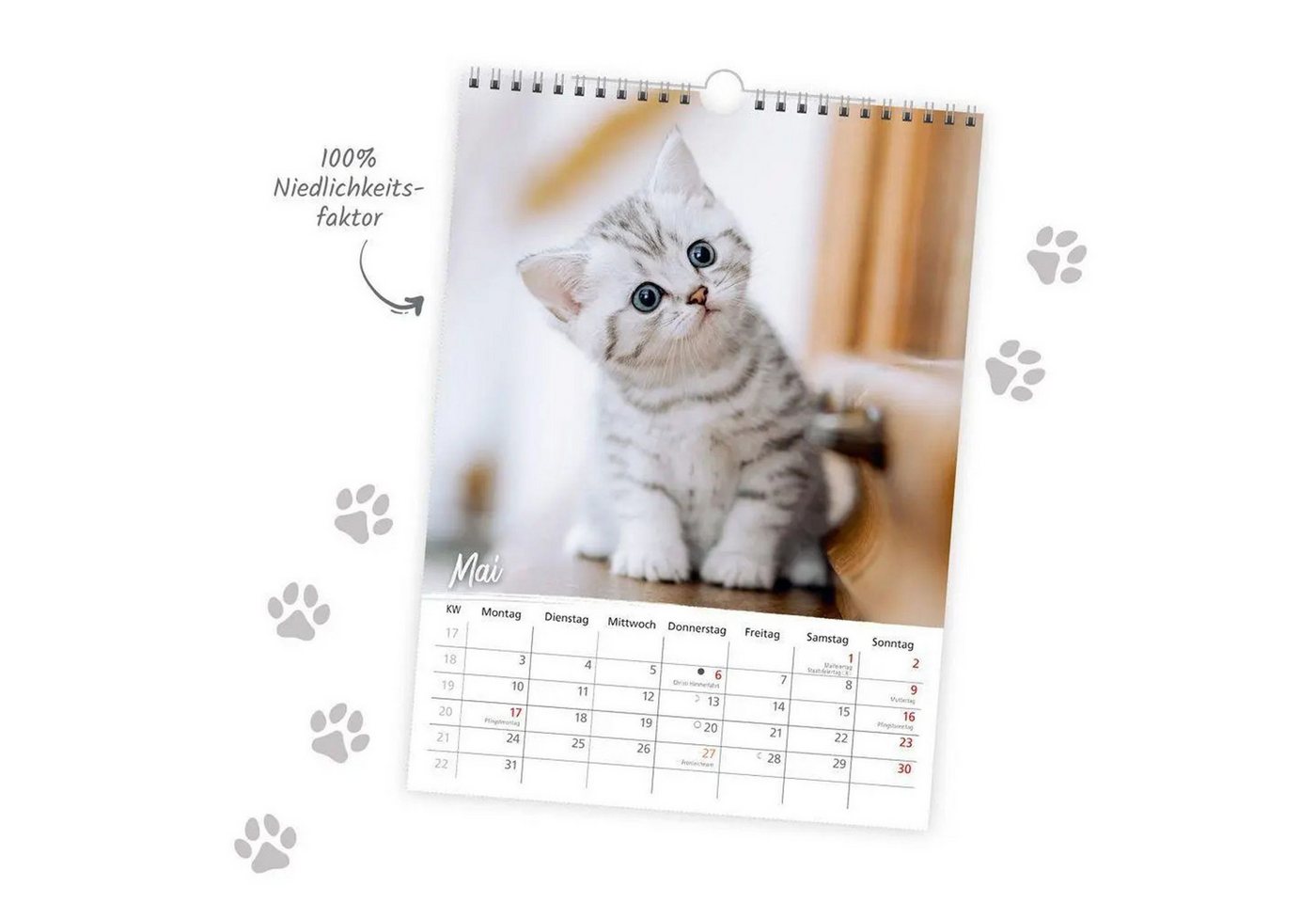 Trötsch Verlag Wandkalender TRÖTSCH - Classickalender Liebste Katzen 2027 – Bild 3 von 5