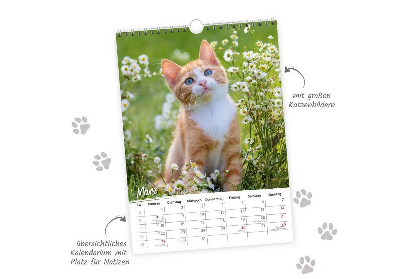 Trötsch Verlag Wandkalender TRÖTSCH - Classickalender Liebste Katzen 2027 – Bild 4 von 5