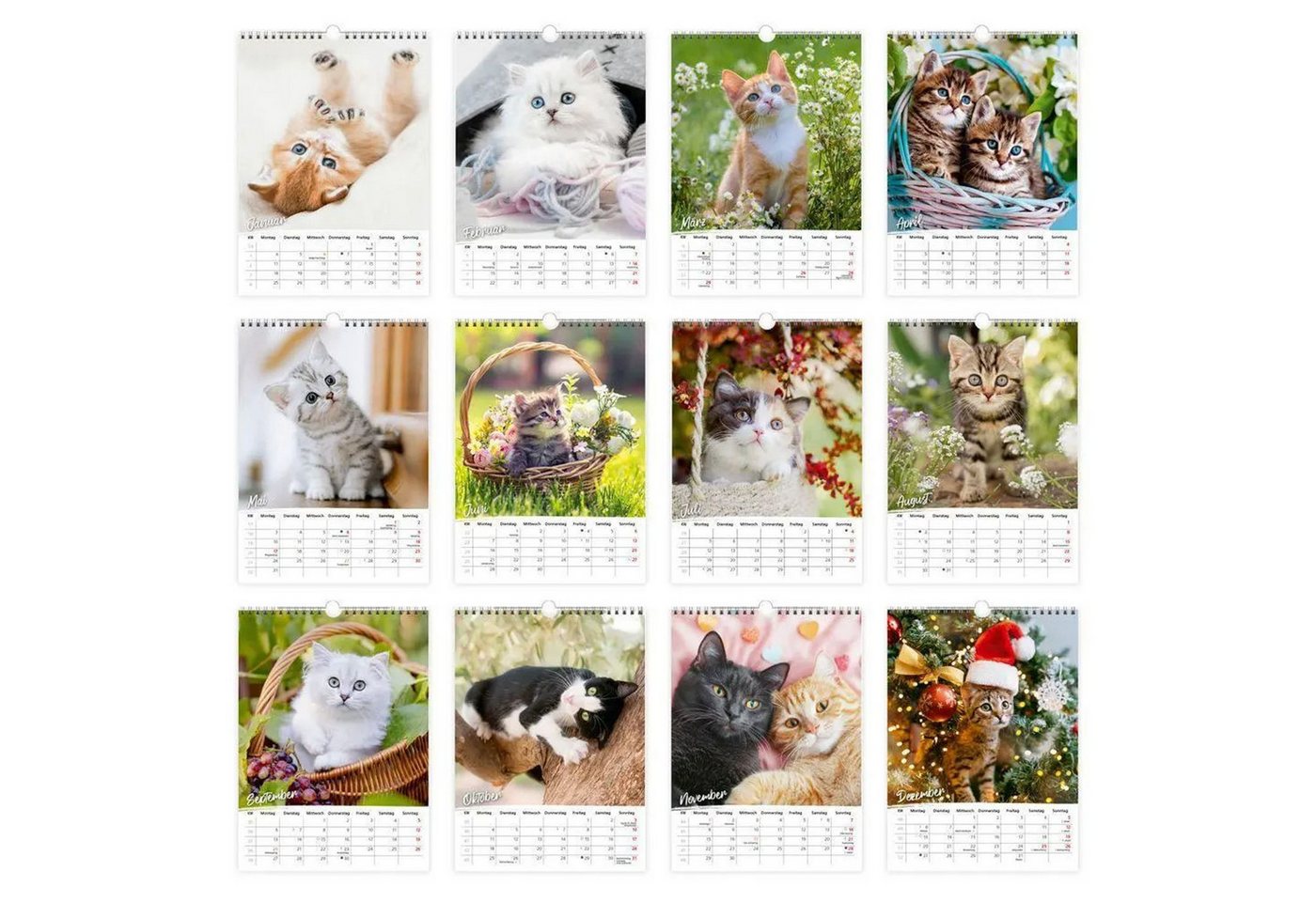 Trötsch Verlag Wandkalender TRÖTSCH - Classickalender Liebste Katzen 2027 – Bild 5 von 5