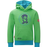 TROLLKIDS Kids Troll Sweater, Größe 104 in Grün