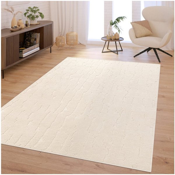 TT Home Teppich Diele, Esszimmer, Flur, Schlafzimmer, Wohnzimmer, Rechteckig, Höhe: 16 mm, Wohnzimmer Teppich Hochflor Skandinavisch Boho Waschbar Abstraktes Mu
