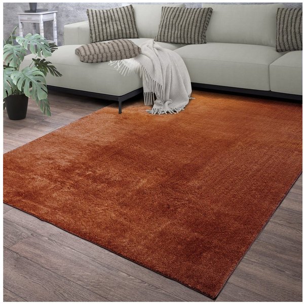 TT Home Teppich Diele, Esszimmer, Flur, Schlafzimmer, Wohnzimmer, Rechteckig, Höhe: 14 mm, Wohnzimmer Kurzflor Einfarbig Modernes Design Waschbar
