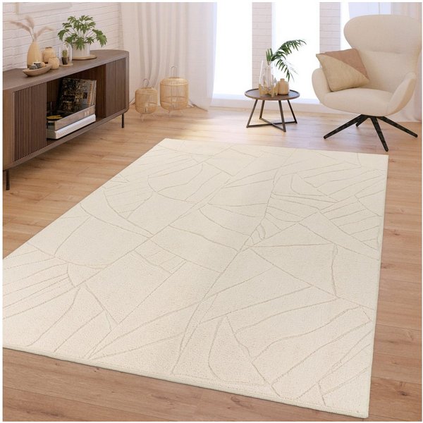 TT Home Teppich Esszimmer, Schlafzimmer, Wohnzimmer, Rechteckig, Höhe: 16 mm, Wohnzimmer Teppich Schlafzimmer Hochflor Weich Waschbar Uni 3D-Optik M