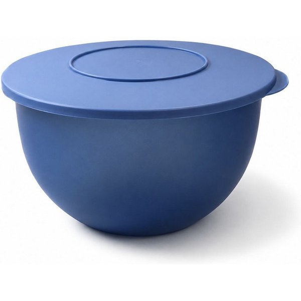 TUPPERWARE Schüssel Junge Welle 4,3 L blau