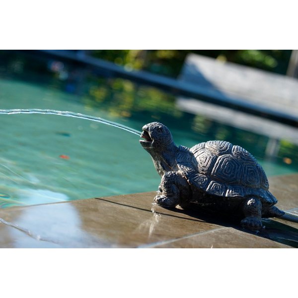 Ubbink Wasserspeier Schildkröte, BxLxH: 18x14x21 cm, ohne Schlauch und Pumpe