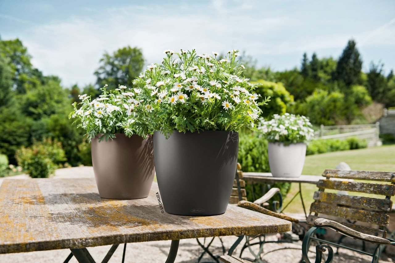 Lechuza® Übertopf Lechuza Übertopf Classico Color Ø 27,5 x 26 cm – Bild 3 von 3