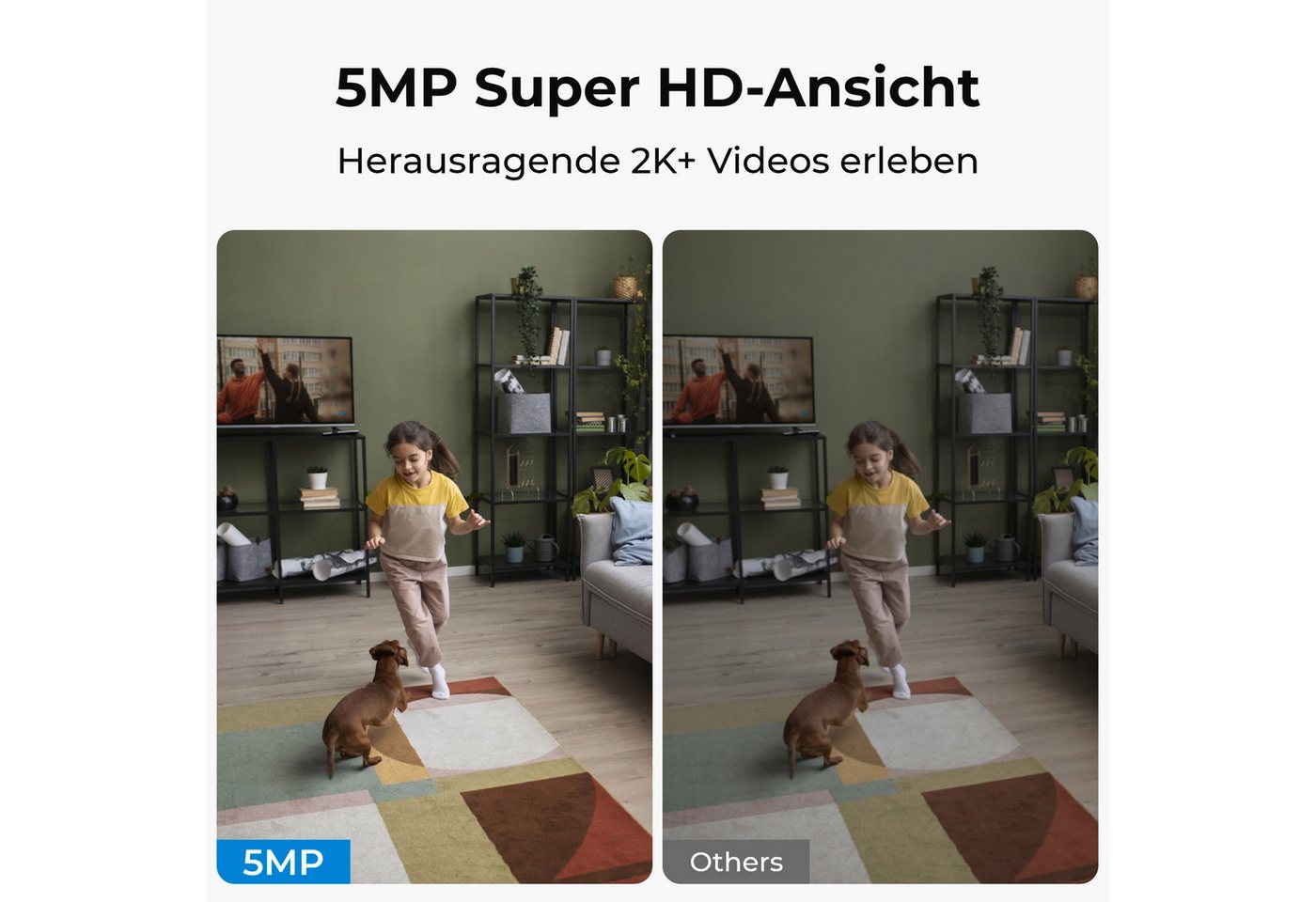 Reolink Überwachungskamera Reolink E Series E331 (Innenbereich, Geräuscherkennung) – Bild 3 von 5