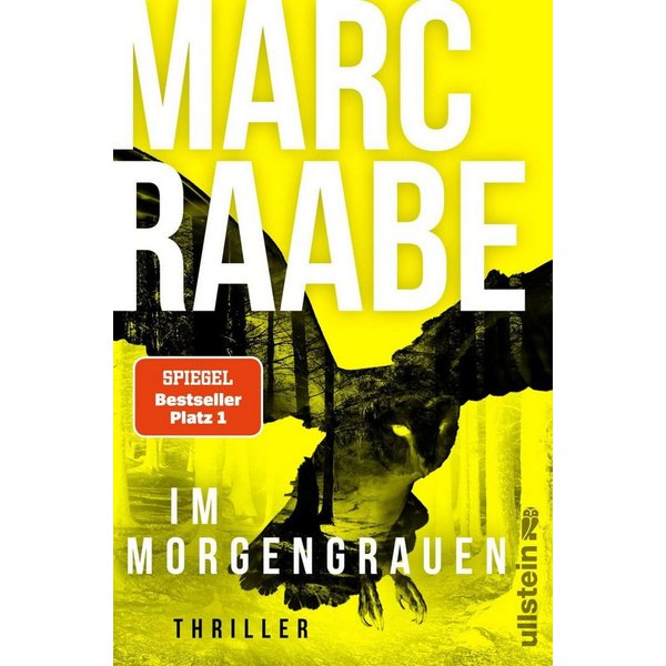 Im Morgengrauen / Marc Raabe