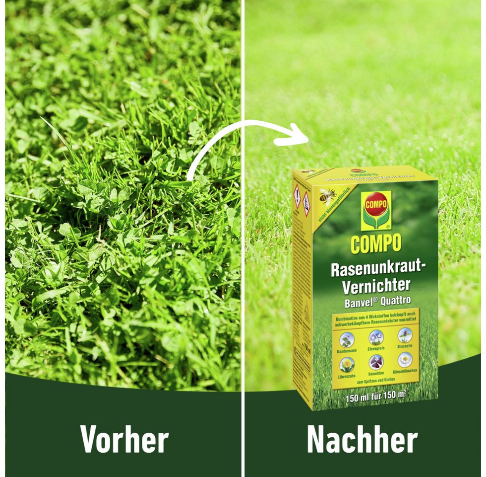 Compo Unkrautbekämpfungsmittel Compo Rasenunkrautvernichter Banvel Quattro 150 ml – Bild 2 von 3