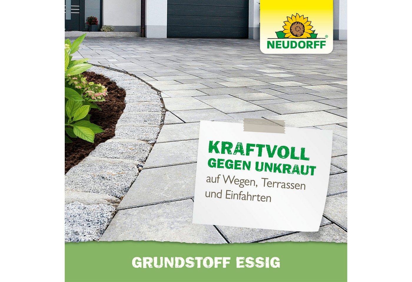 Neudorff Unkrautbekämpfungsmittel Neudorff Grundstoff Acetum Essig 3 l (Konzentrat), 1 St., Für bis zu 500 m² bei Einzelpflanzenbehandlung, 3 Liter Konzentrat e – Bild 5 von 5