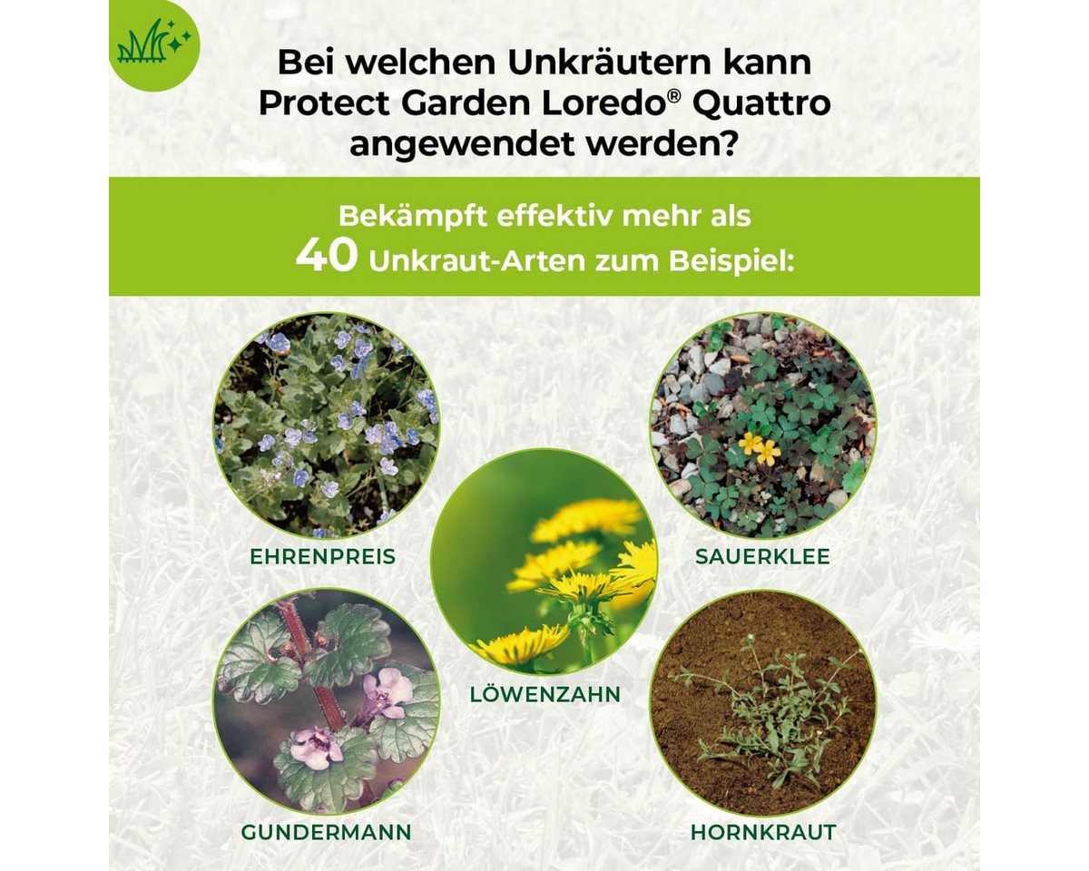 Protect Garden Unkrautbekämpfungsmittel Protect Garden Loredo Quattro Universal Rasenunkrautfrei 400ml – Bild 4 von 5