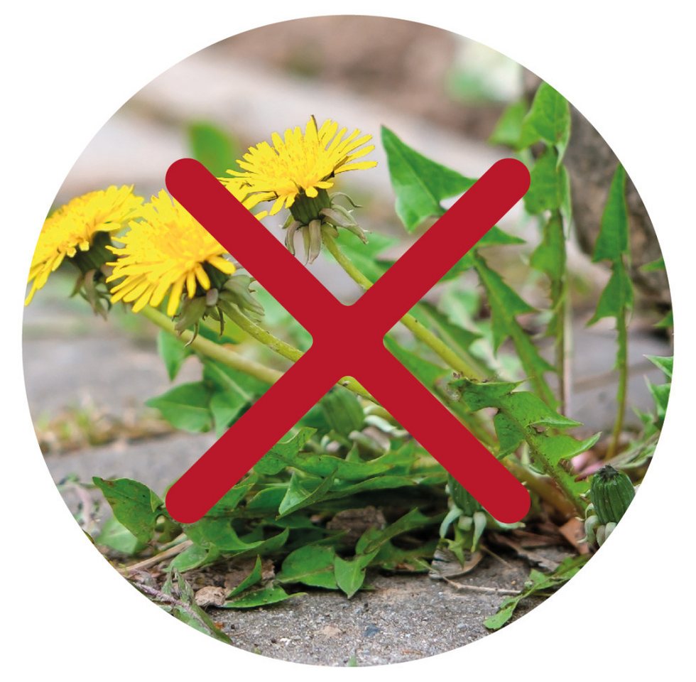 PROTECT Unkrautbekämpfungsmittel Protect Garden Turbo Unkrautfrei Grundstoff Acetum – Bild 4 von 5