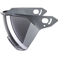 uvex Stride Radhelm Ersatz-Visier (56-59 cm, 0201 litemirror silver/smoke (S3))