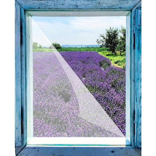 VABIONO Pollenschutzgitter 3x Pollenschutzvlies Insektenschutz für Fenster 130x150cm zuschneidbar, (3er Packung inkl. 2x Klettband, Pollenschutz für Allergiker 