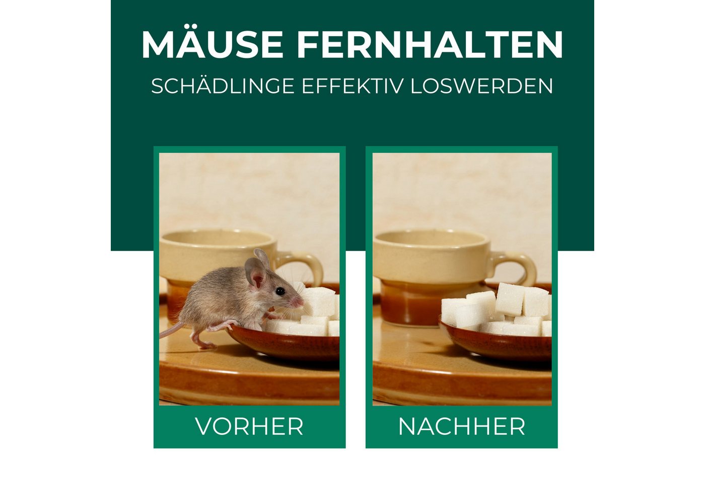 Silberkraft Vergrämungsmittel Silberkraft Mäuseabwehr, Repellent gegen Mäusebefall, 500 ml, 1-St., Mäuseabwehr für Haus & Garten, wirksame Alternative zu Gift & – Bild 3 von 5